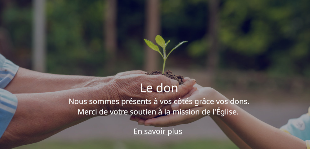 A small tree growing with soil forwarded or delivered between the hands of the elderly and children with the green forest background. Showed the care for the environment with sustainable development.