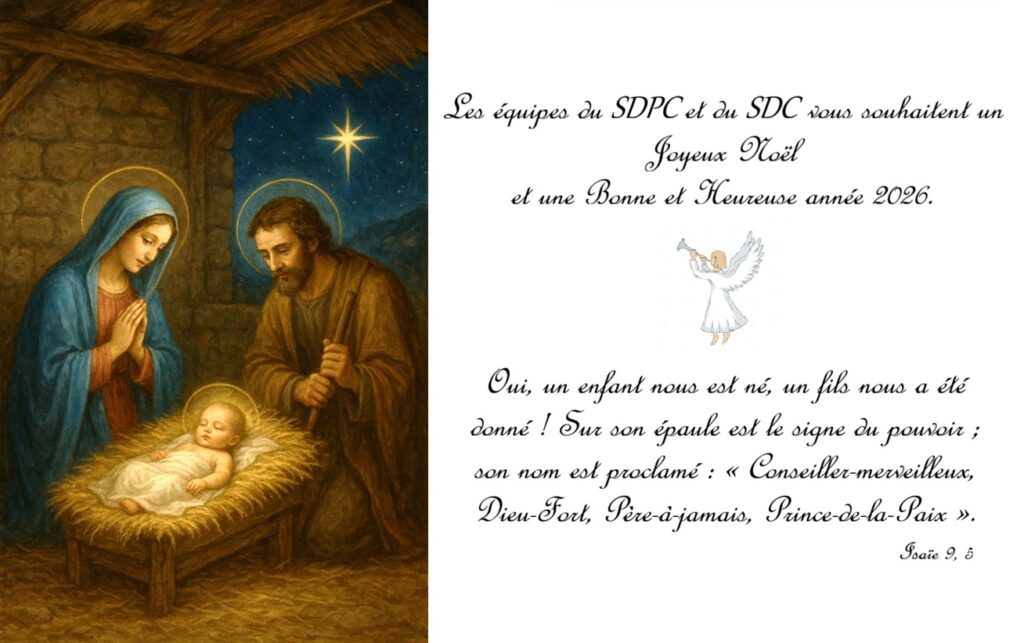 Carte de voeux web 2026